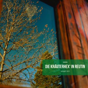 Spiegelung im Fenster